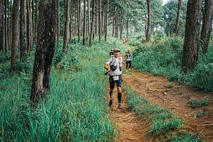 BIB: 
                            <button type="button" onclick="openModal(25655840)" class="btn btn-primary btn-sm float-right btn-popup" data-toggle="modal" data-target=".modal-high-quality">
                        <i class="fas fa-shopping-cart"></i> Add to Cart
                    </button>
                                            <button type="button" onclick="isThisMe(25655840, true)" class="btn btn-success btn-sm float-right btn-popup btn-isme hidden" data-toggle="tooltip" data-placement="bottom" title="นี่คือรูปของคุณใช่ไหม คลิกที่นี่เพื่อเอาเข้าอัลบั้ม">
                        <i class="fas fa-plus"></i> Add to album
                    </button>
                    <button type="button" onclick="isThisMe(25655840, false)" class="btn btn-warning btn-sm float-right btn-popup btn-isnotme hidden">
                        <i class="fas fa-ban"></i> Remove from album
                    </button>